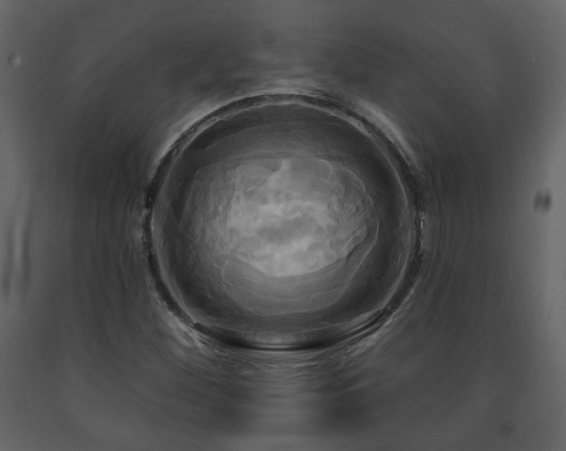 X0000091641260200708231150
