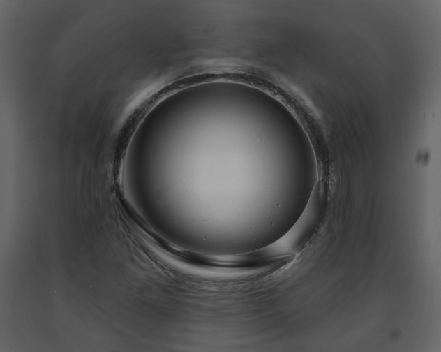 X0000091641261200708231150