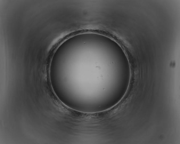 X0000091641262200708231150