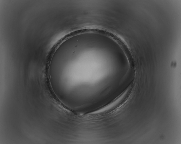 X0000091641263200708231150
