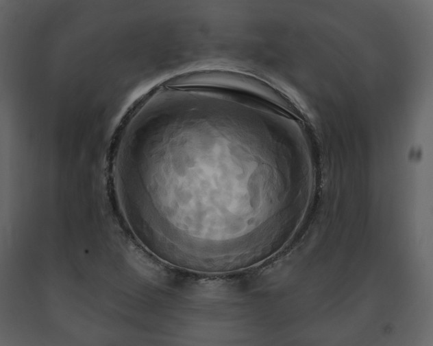 X0000091641264200708231150