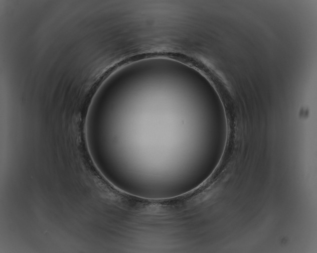X0000091641265200708231150