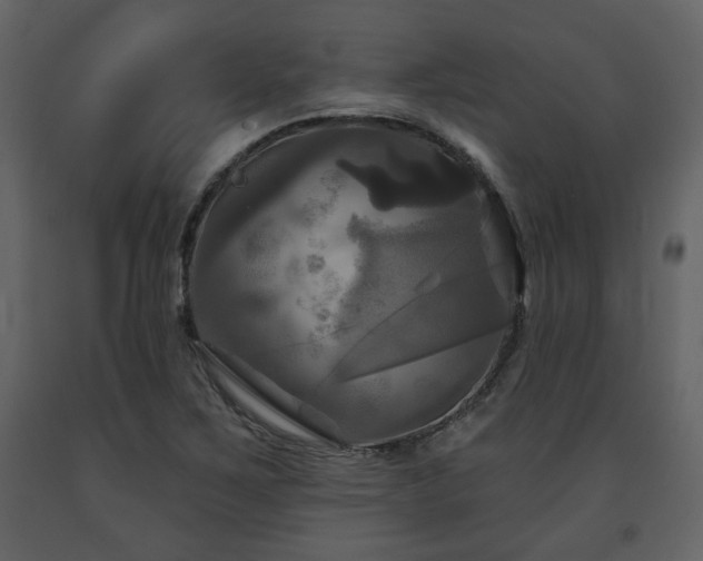 X0000091641267200708231150