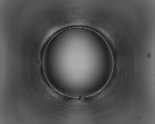 X0000091641270200708231150