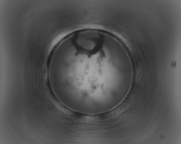X0000091641271200708231150