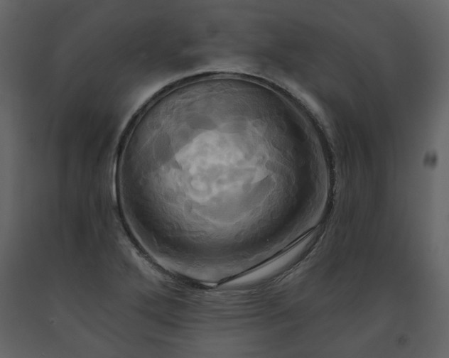 X0000091641272200708231150
