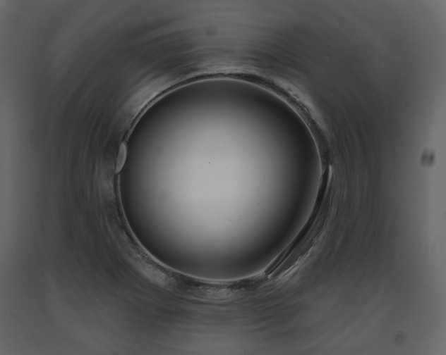 X0000091641273200708231150
