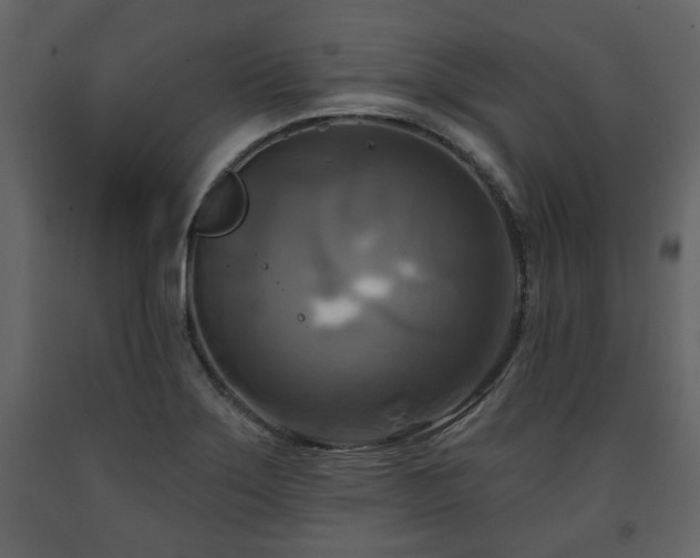 X0000091641275200708231150
