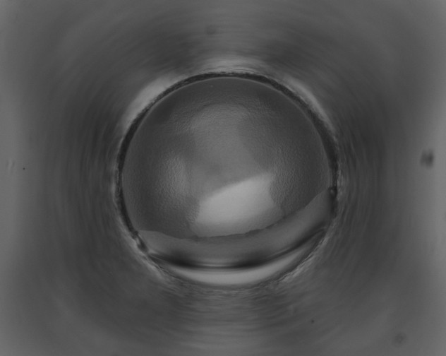 X0000091641277200708231150