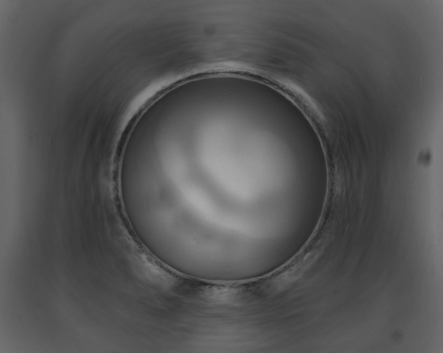 X0000091641278200708231150
