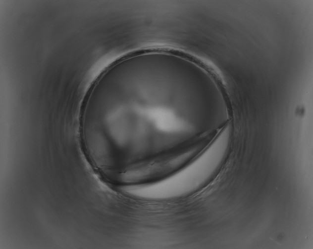 X0000091641279200708231150