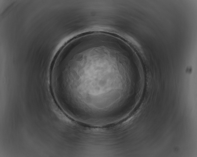 X0000091641280200708231150