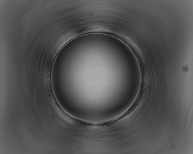X0000091641281200708231150