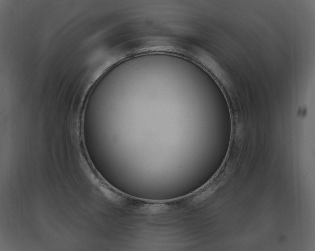 X0000091641282200708231150