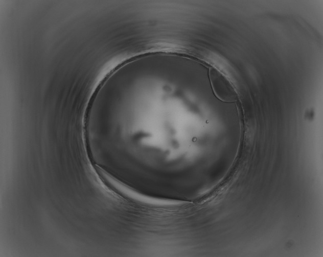 X0000091641283200708231150