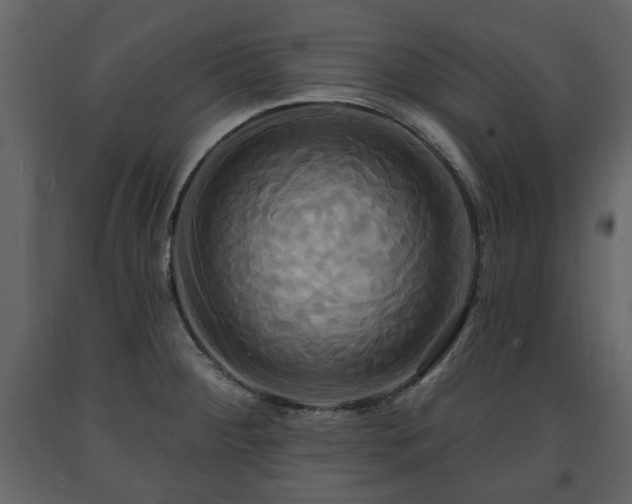 X0000091641284200708231150
