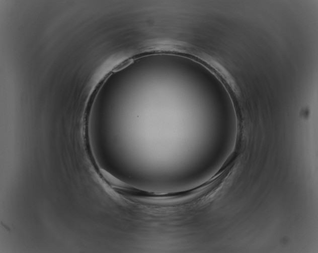 X0000091641285200708231150