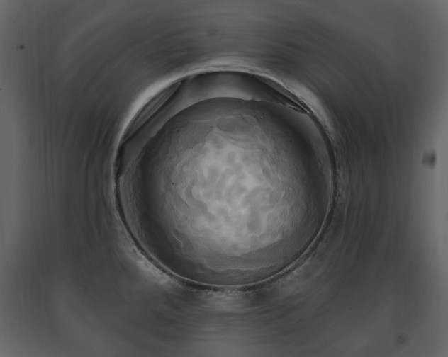 X0000091641288200708231150