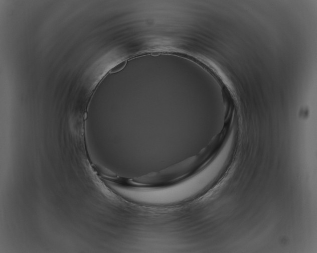 X0000091641289200708231150