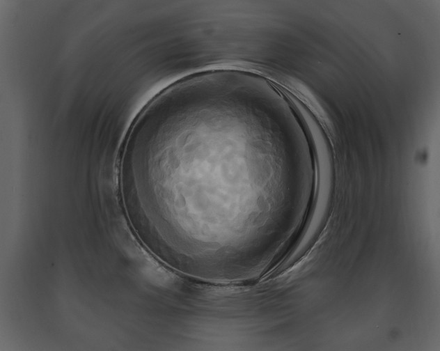 X0000091641292200708231150
