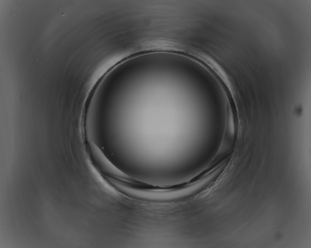 X0000091641293200708231150