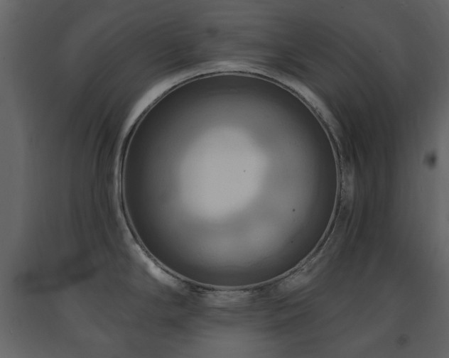 X0000091641294200708231150
