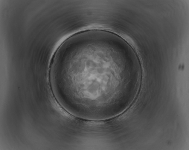X0000091641296200708231150
