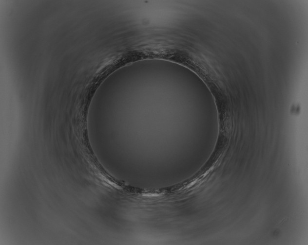 X0000091641297200708231149