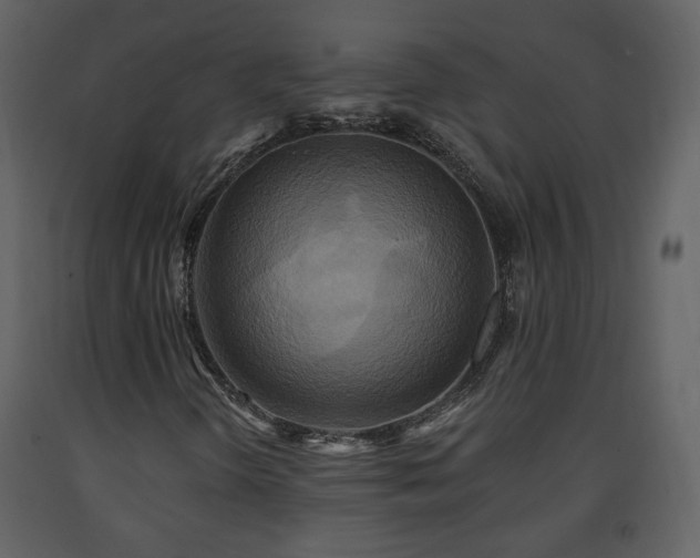 X0000091641298200708231149