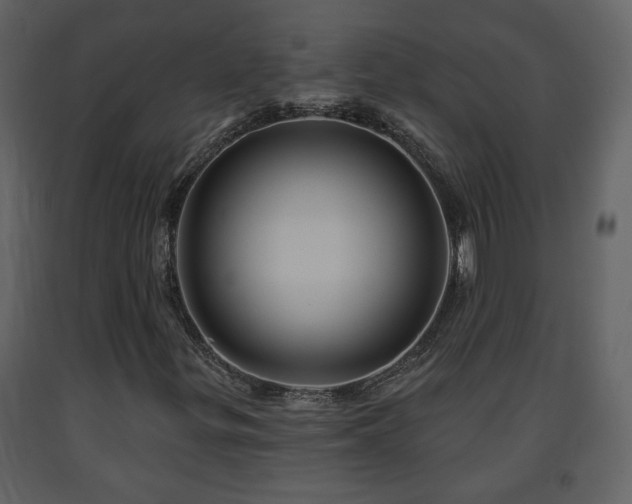 X0000091641299200708231149