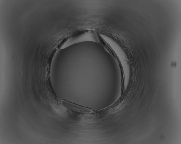 X0000091641300200708231149