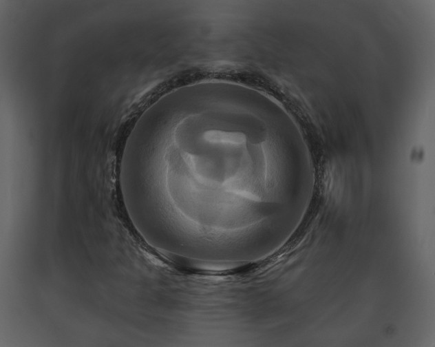 X0000091641301200708231149