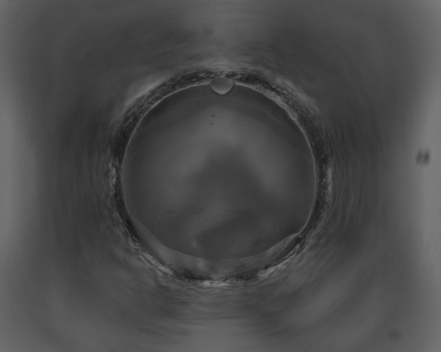 X0000091641302200708231149