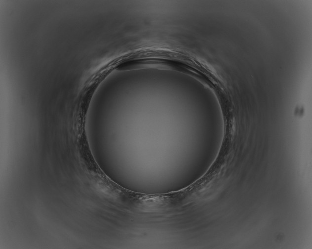 X0000091641303200708231149