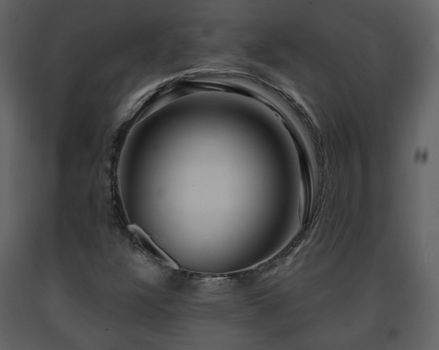 X0000091641304200708231149