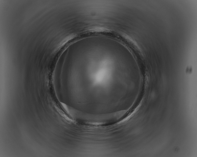 X0000091641305200708231149