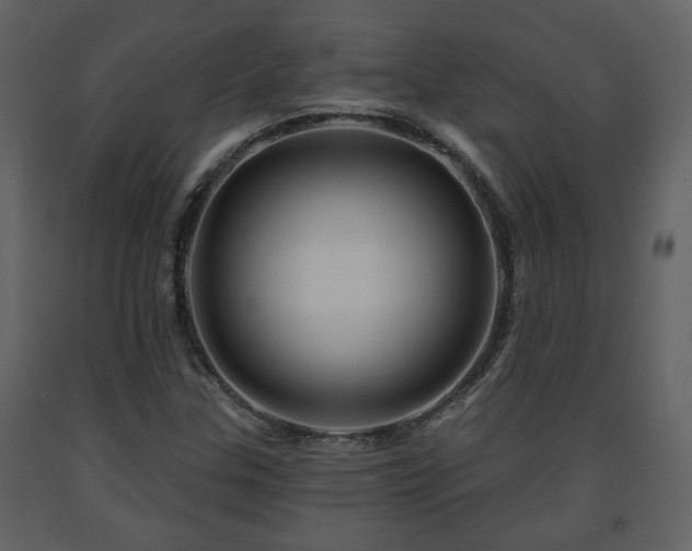 X0000091641307200708231149