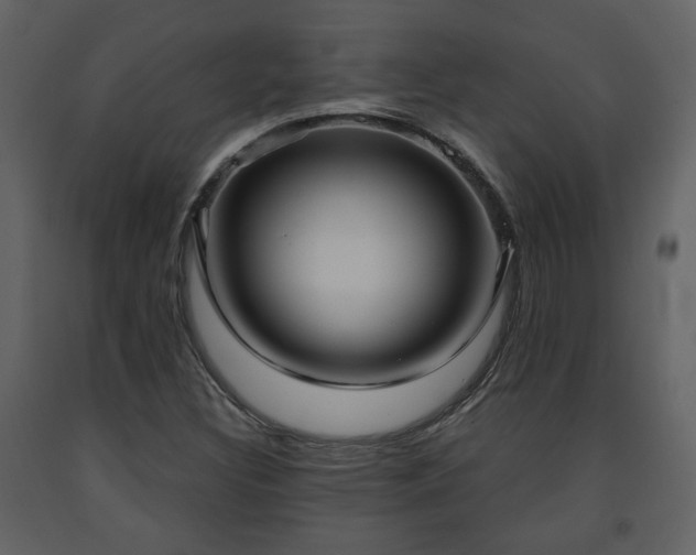 X0000091641308200708231149