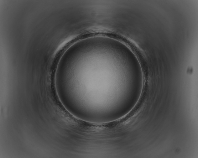 X0000091641309200708231149