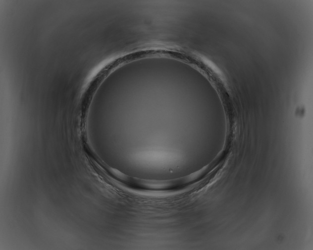 X0000091641310200708231150
