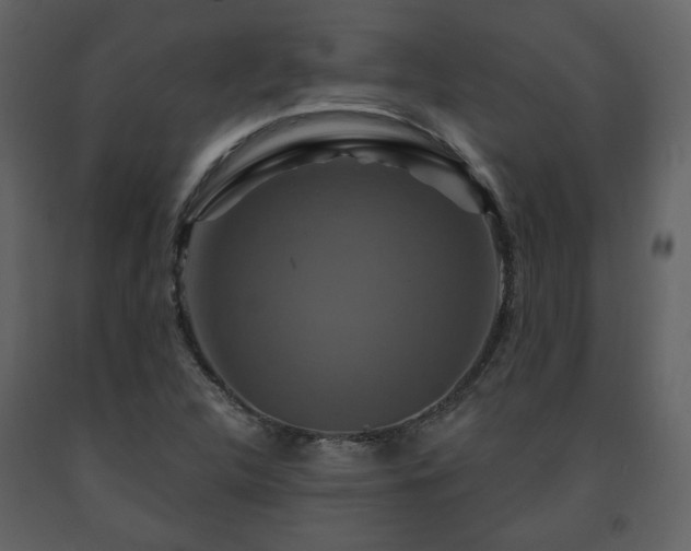 X0000091641312200708231150