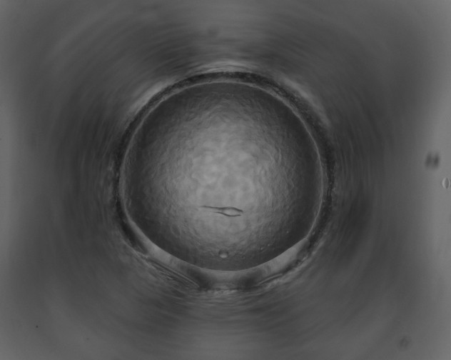 X0000091641313200708231150