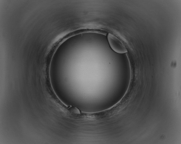 X0000091641315200708231150