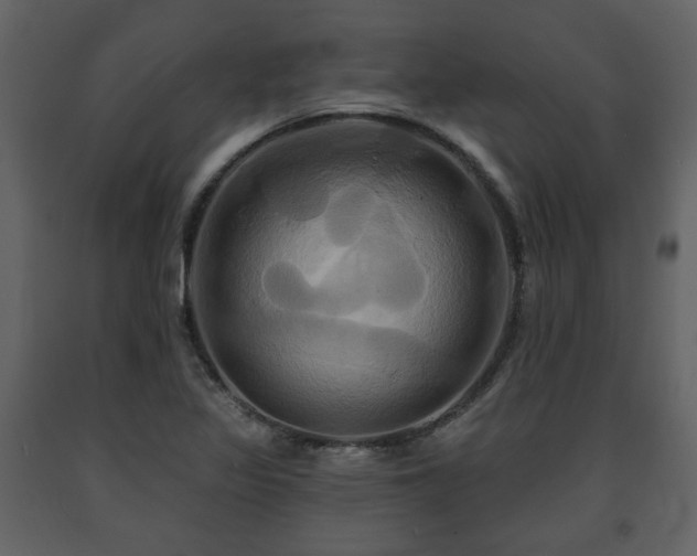 X0000091641317200708231150