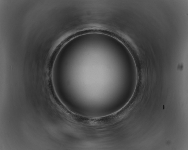 X0000091641318200708231150