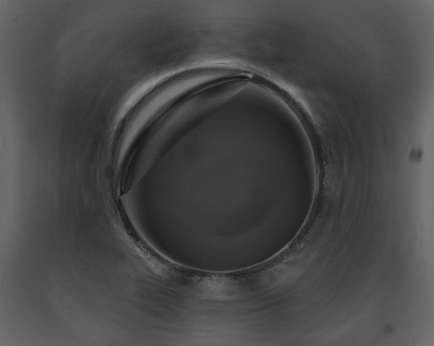 X0000091641319200708231150