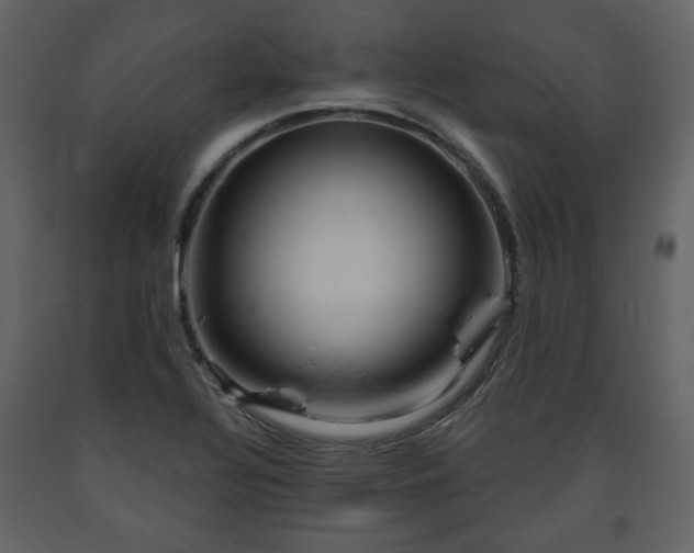 X0000091641320200708231150
