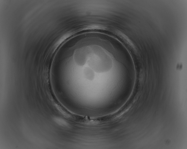 X0000091641321200708231150