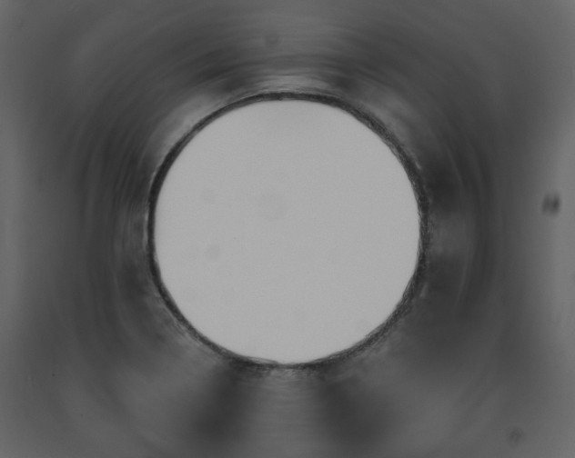 X0000091641322200708231150