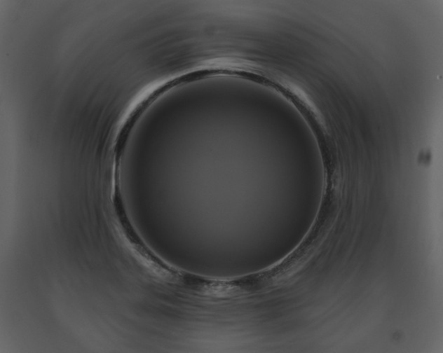 X0000091641323200708231150